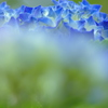 白い雲に乗って