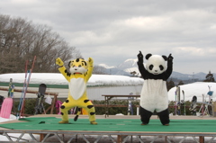虎と熊猫のダンス