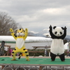 虎と熊猫のダンス