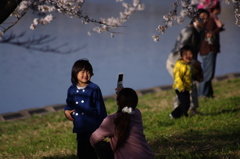 桜の下で
