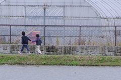 兄の自覚