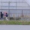 兄の自覚