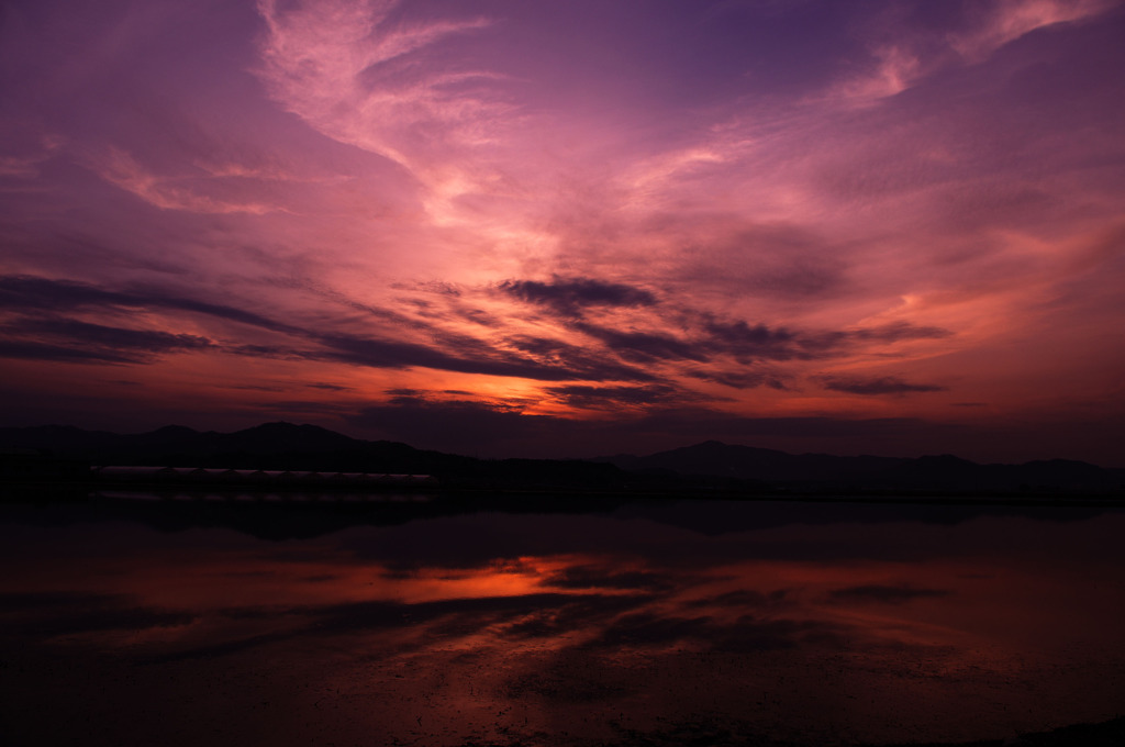 映り込む夕景