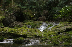 遭遇