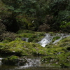 遭遇