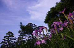 明日も頑張ろう！