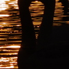 おはようのＫＩＳＳ