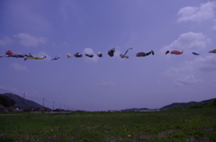 ５月の風景