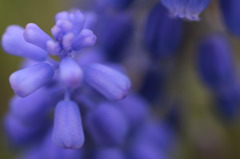 _MG_9024
