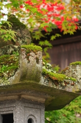 日光の初秋