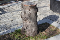 大阪城公園