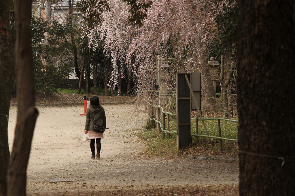 京都