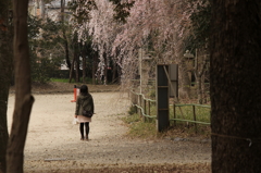 京都