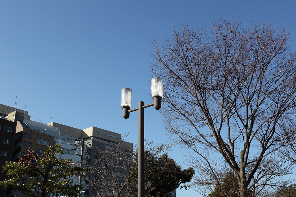 公園の外灯