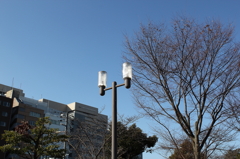 公園の外灯
