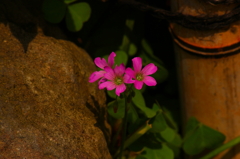 天王寺015