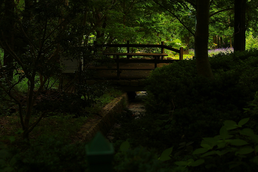 布引ハーブ園014