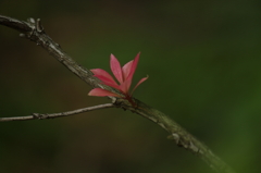 天王寺016