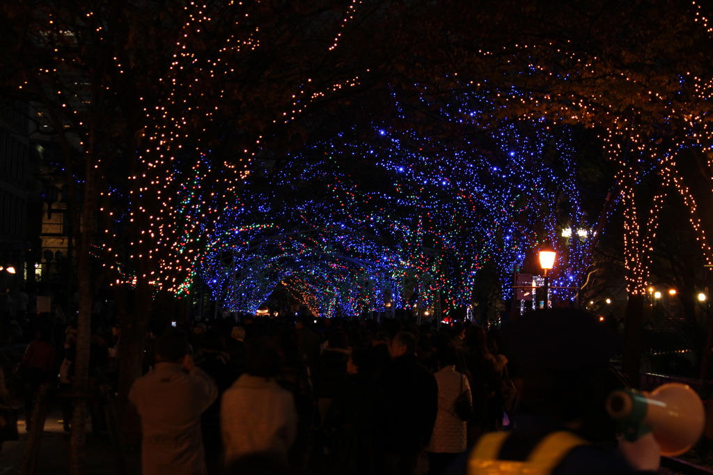 OSAKA 光のルネサンス2