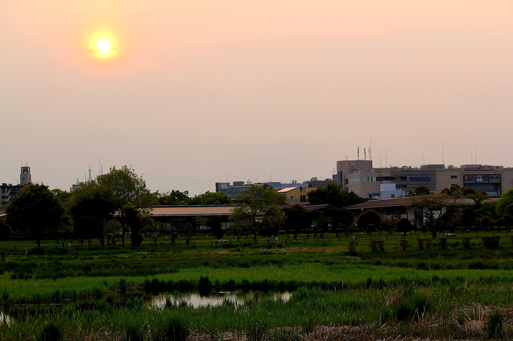 奈良　平城宮