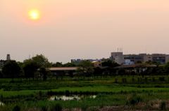 奈良　平城宮