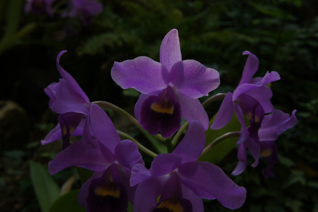 071