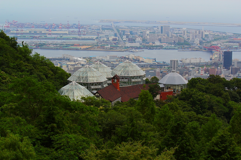 布引ハーブ園001