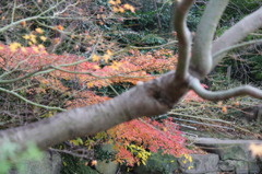 天王寺公園
