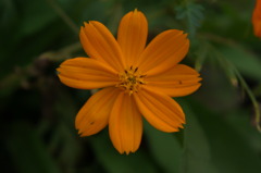 025