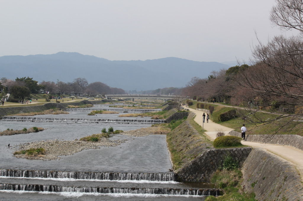 京都　鴨川