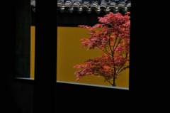 静寂の間２