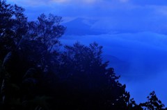 蒼が作る光景
