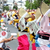 踊り観るならすいこ連。