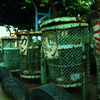 西六郷公園