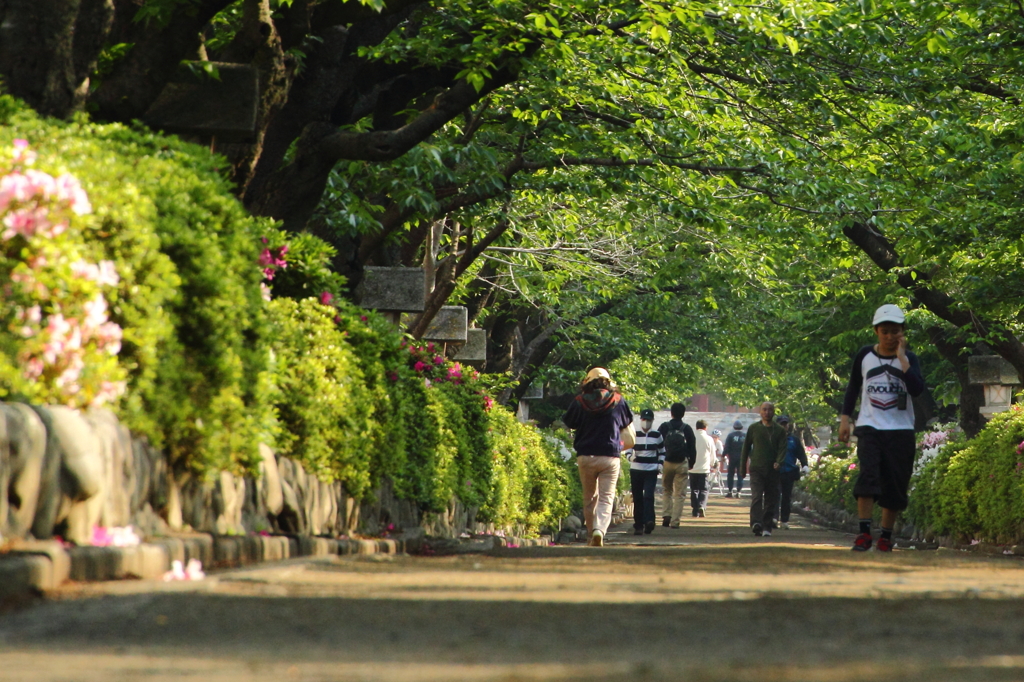 若宮大路