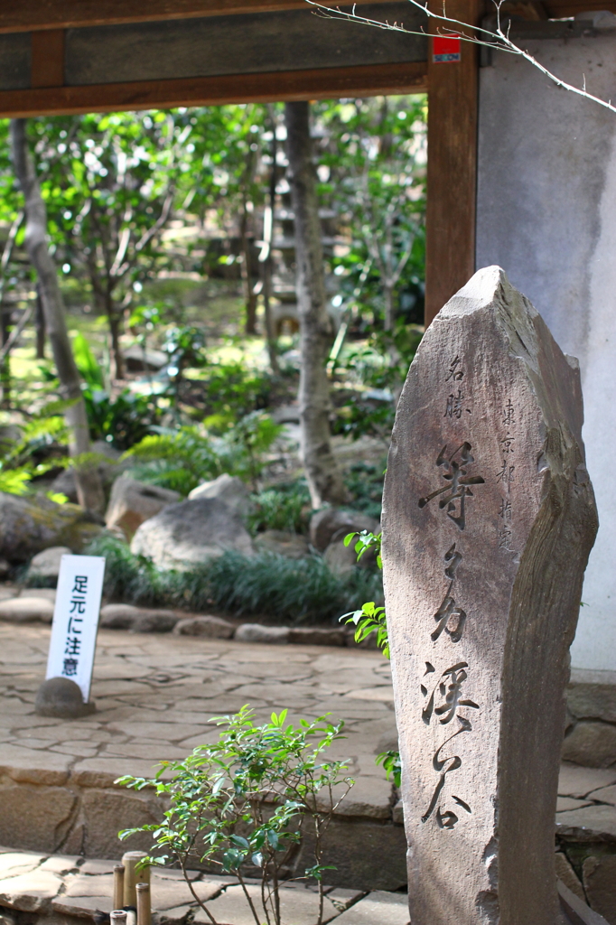 等々力渓谷