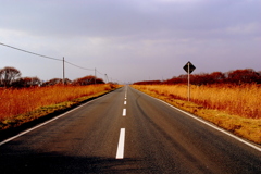 どこまでもつづく道