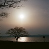 夕日