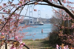 桜のアーチ