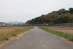 IMG_00771