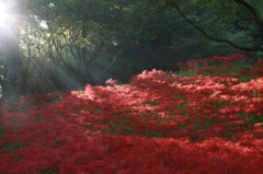 光芒