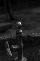 IMG_0111