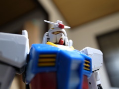 ガンダーム