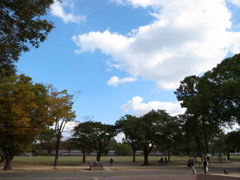 二の丸公園の空。