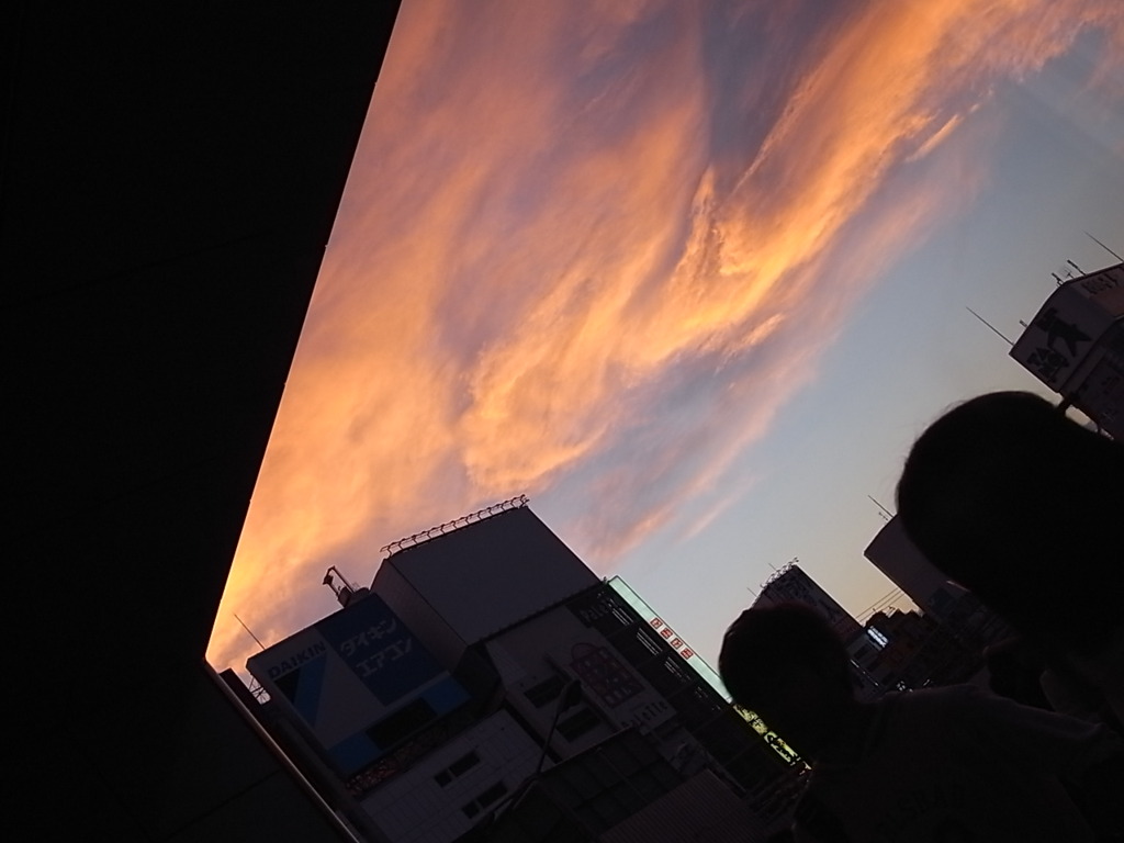 2011.6.24 新宿の夕方