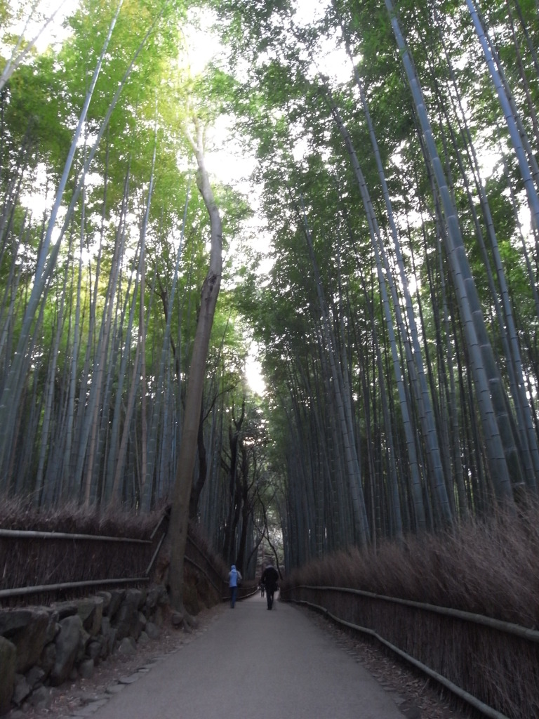 2人進む道
