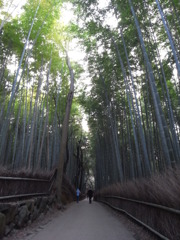 2人進む道