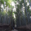 2人進む道