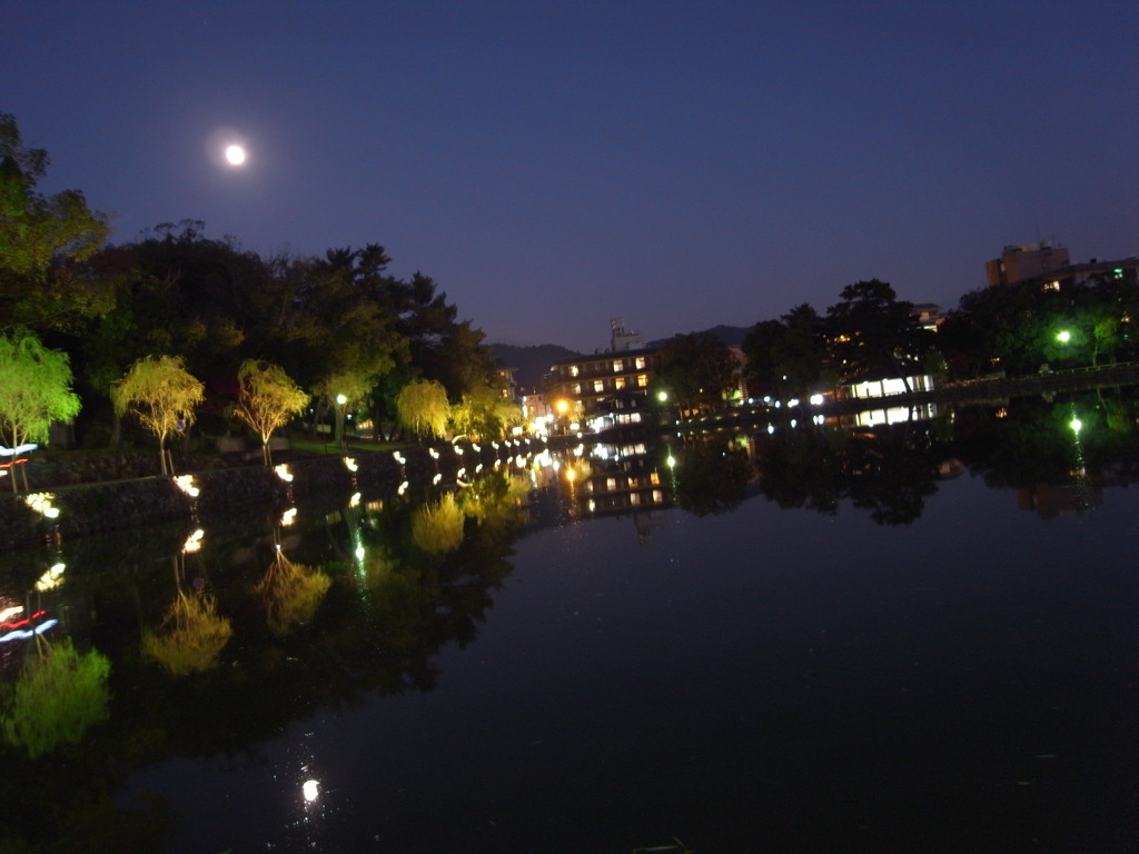 猿沢池の夜空