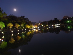 猿沢池の夜空